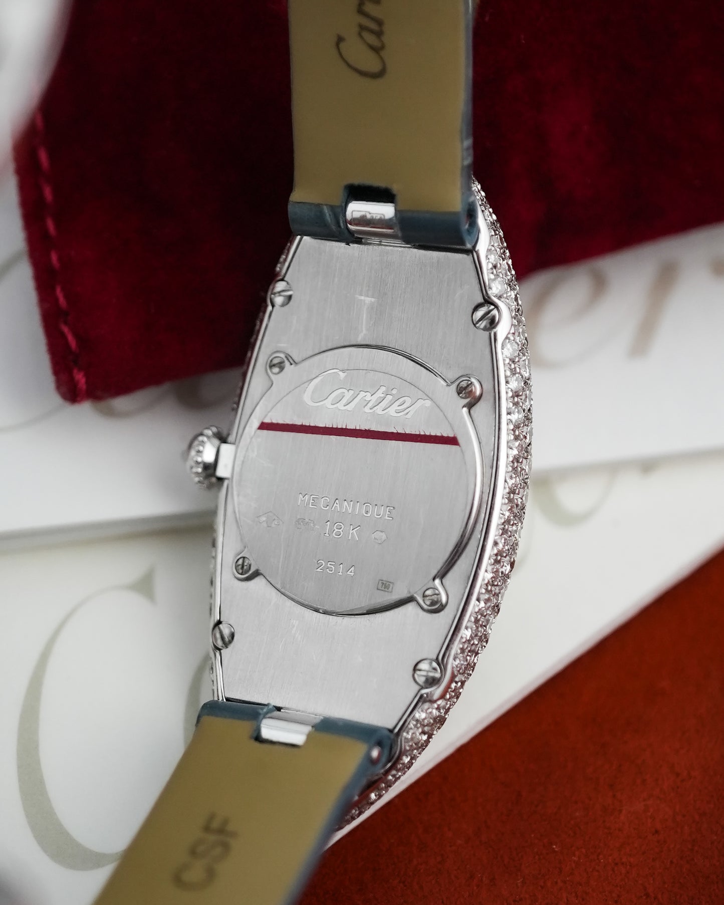 Cartier Baignoire Allongee Factory Diamonds France Dial in 18k Solid White Gold 2514
