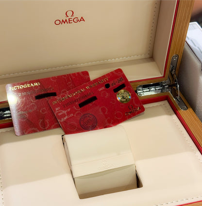Omega Seamaster Diver 300 Co Axial Master Chronometer 300m 42mm 210.30.42.20.06.001