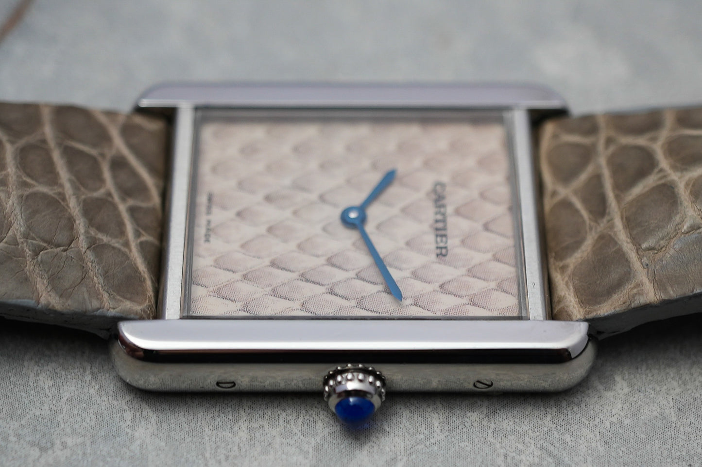 Cartier Tank Solo Python Snake 3170