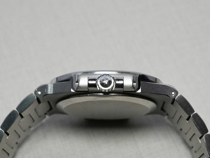 Patek Philippe Nautilus Roman Index 3800 3800/1A 3800/1