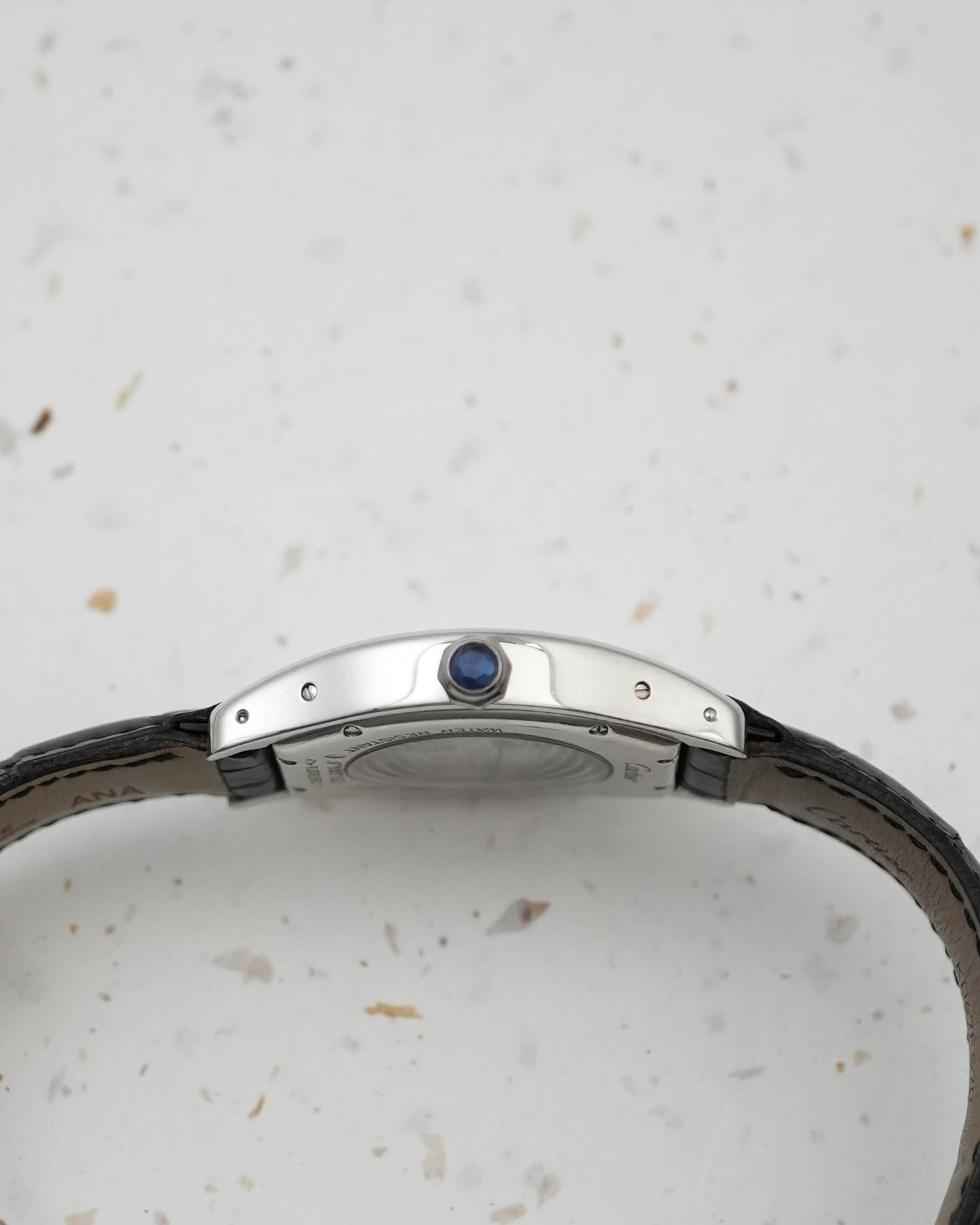 Cartier Tortue CPCP Prive Paris Collection in Platinium 2518D W1546151