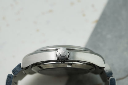 Omega Seamaster Aqua Terra Diamond on Index 231.10.39.21.54.001 23110392154001